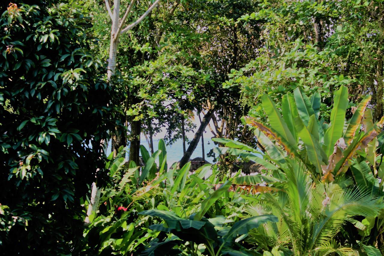 Casa Natural Puerto Viejo Hotel Puerto Viejo de Talamanca Luaran gambar
