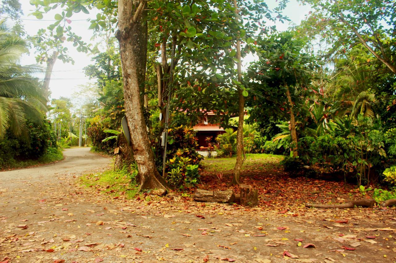 Casa Natural Puerto Viejo Hotel Puerto Viejo de Talamanca Luaran gambar